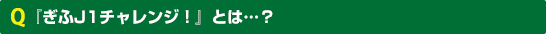 『ぎふJ1チャレンジ！』とは…？