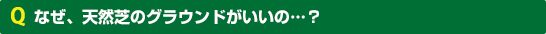なぜ、天然芝のグラウンドがいいの…？