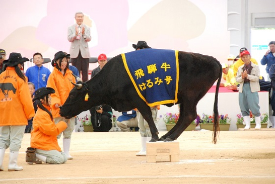 飛騨牛の碁盤乗り